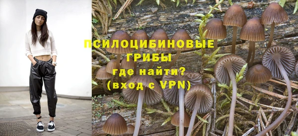 прущие крисы Арсеньев