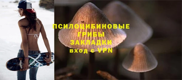 прущие крисы Арсеньев